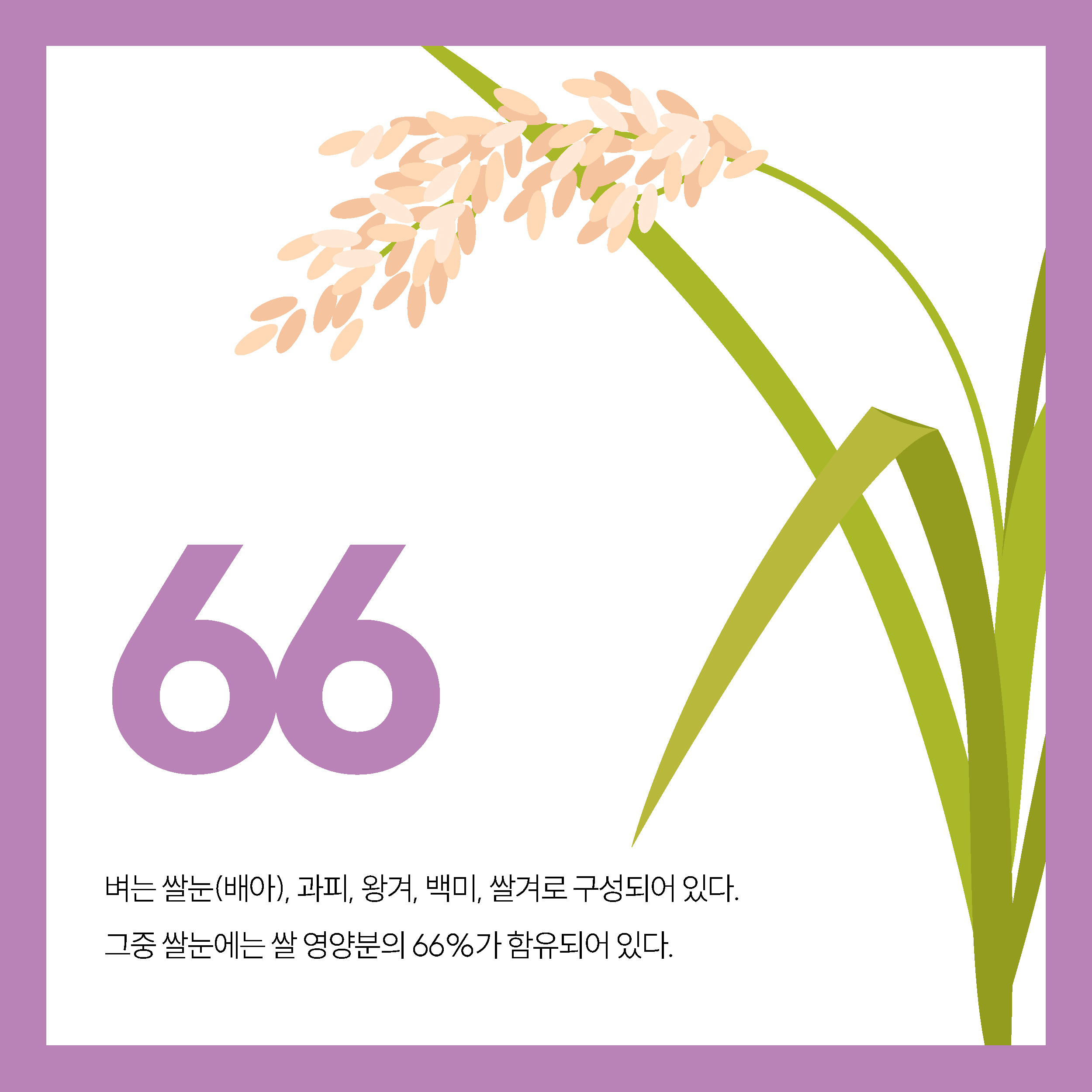 NUMBER_카드뉴스_korean4.jpg