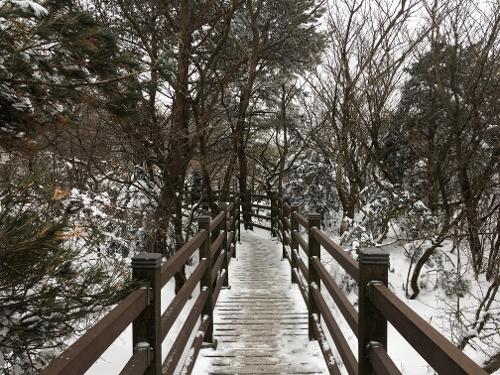 [슬기로운 제주생활] 제주의 겨울